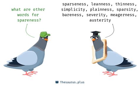 austerity synonym|spareness and austerity.